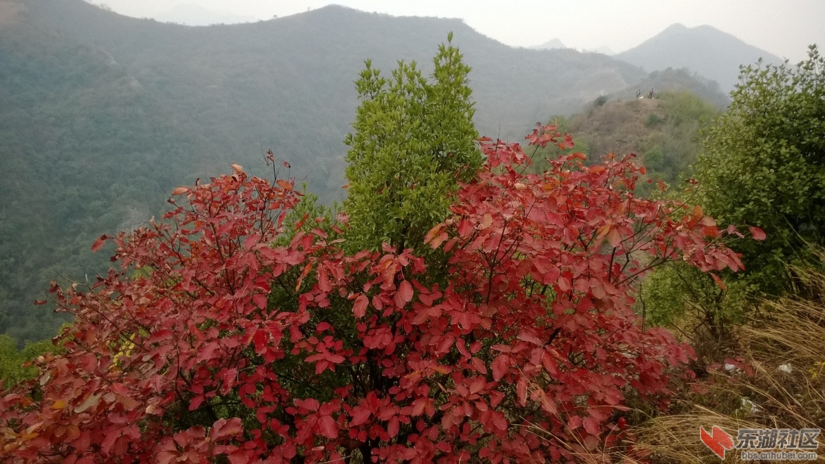 WP_20141206_045.jpg