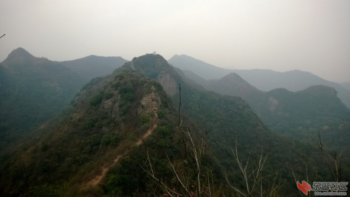 WP_20141206_025.jpg