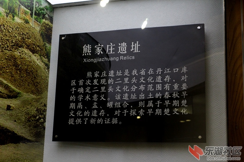 IMG_2498_副本.jpg