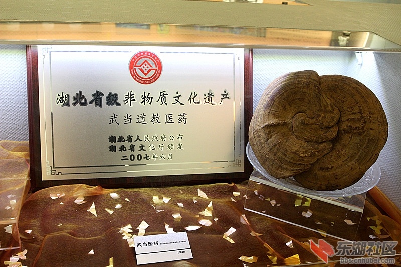 IMG_2671_副本.jpg