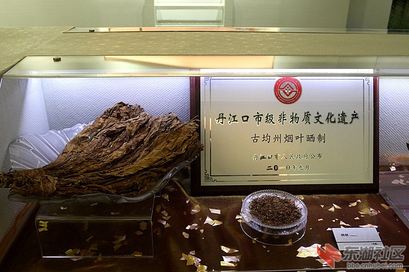 IMG_2670_副本.jpg