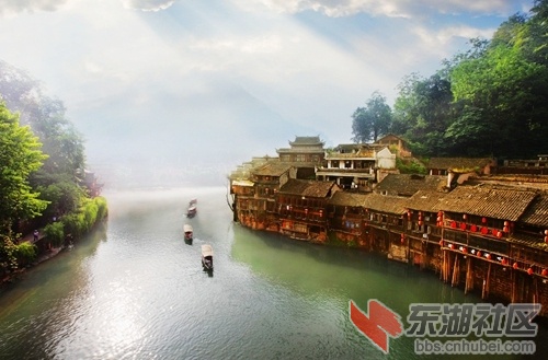凤凰2.jpg