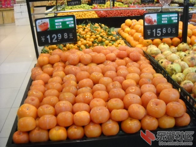 DSCN4101.JPG