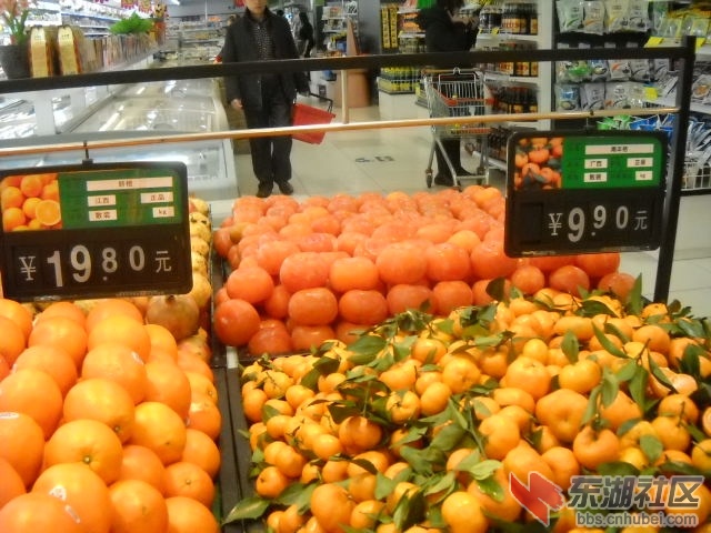 DSCN4104.JPG