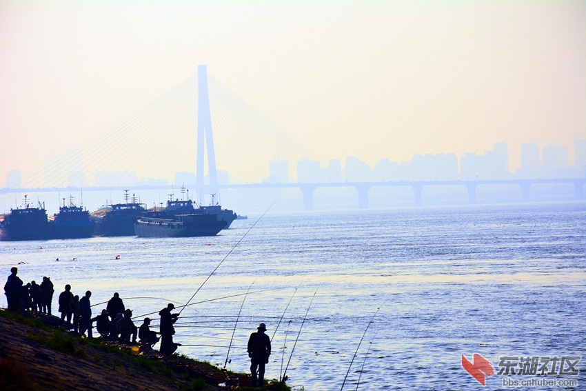 DSC_2486_1.jpg
