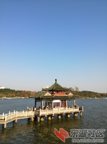 IMG_20141206_140801.jpg