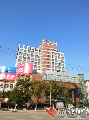 IMG_20141206_151204.jpg