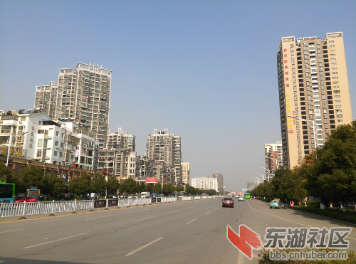 IMG_20141207_114350.jpg
