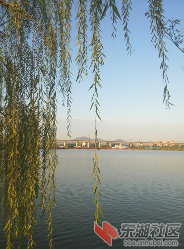IMG_20141102_163559.jpg
