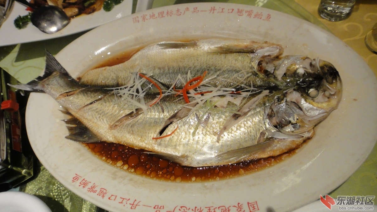 翹嘴魚