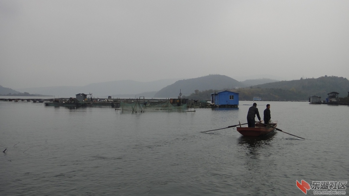 DSC08994.JPG