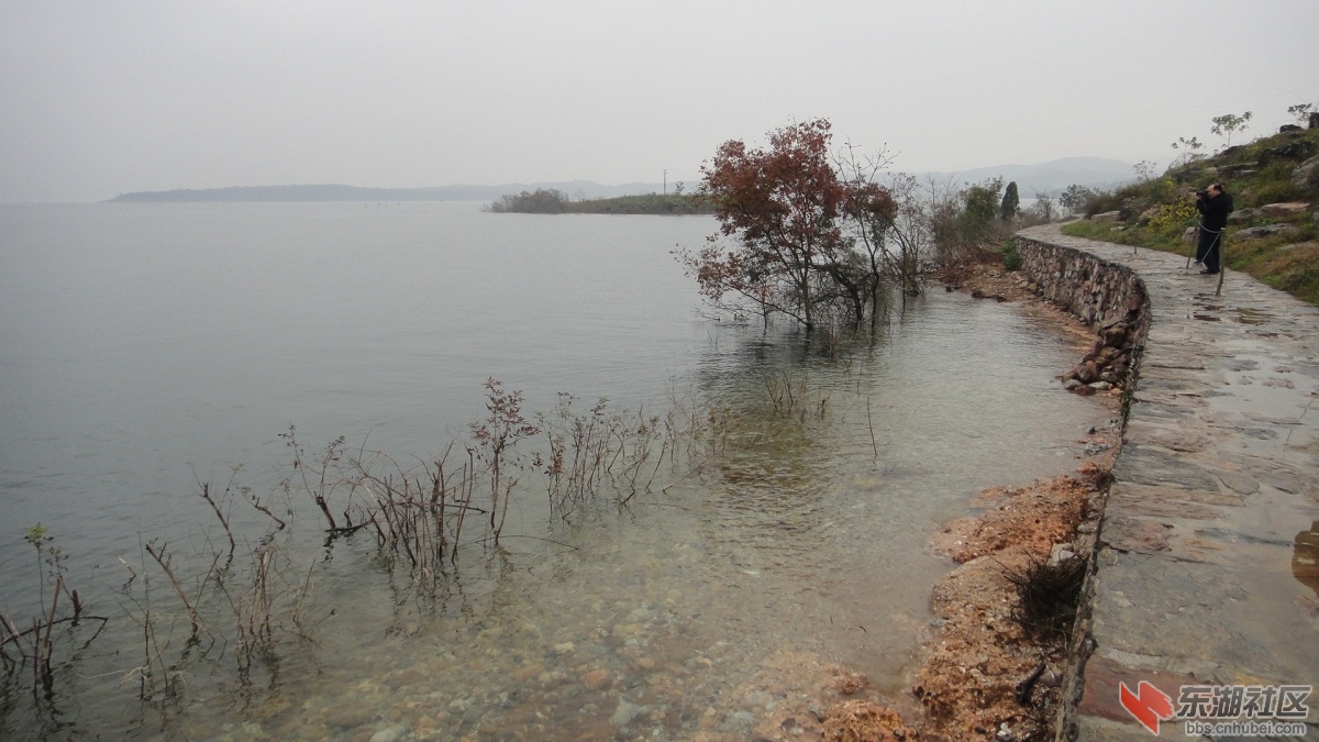 DSC08986.JPG