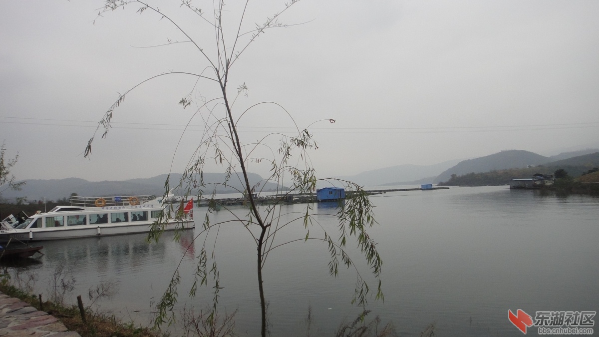 DSC08989.JPG