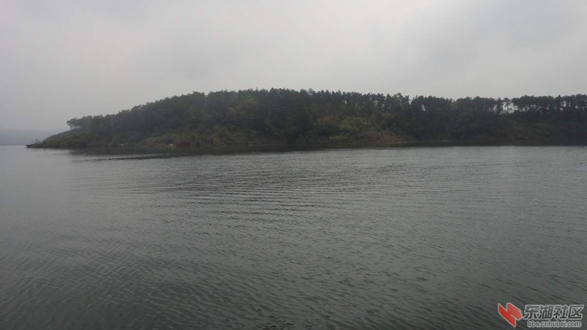 DSC08942.JPG