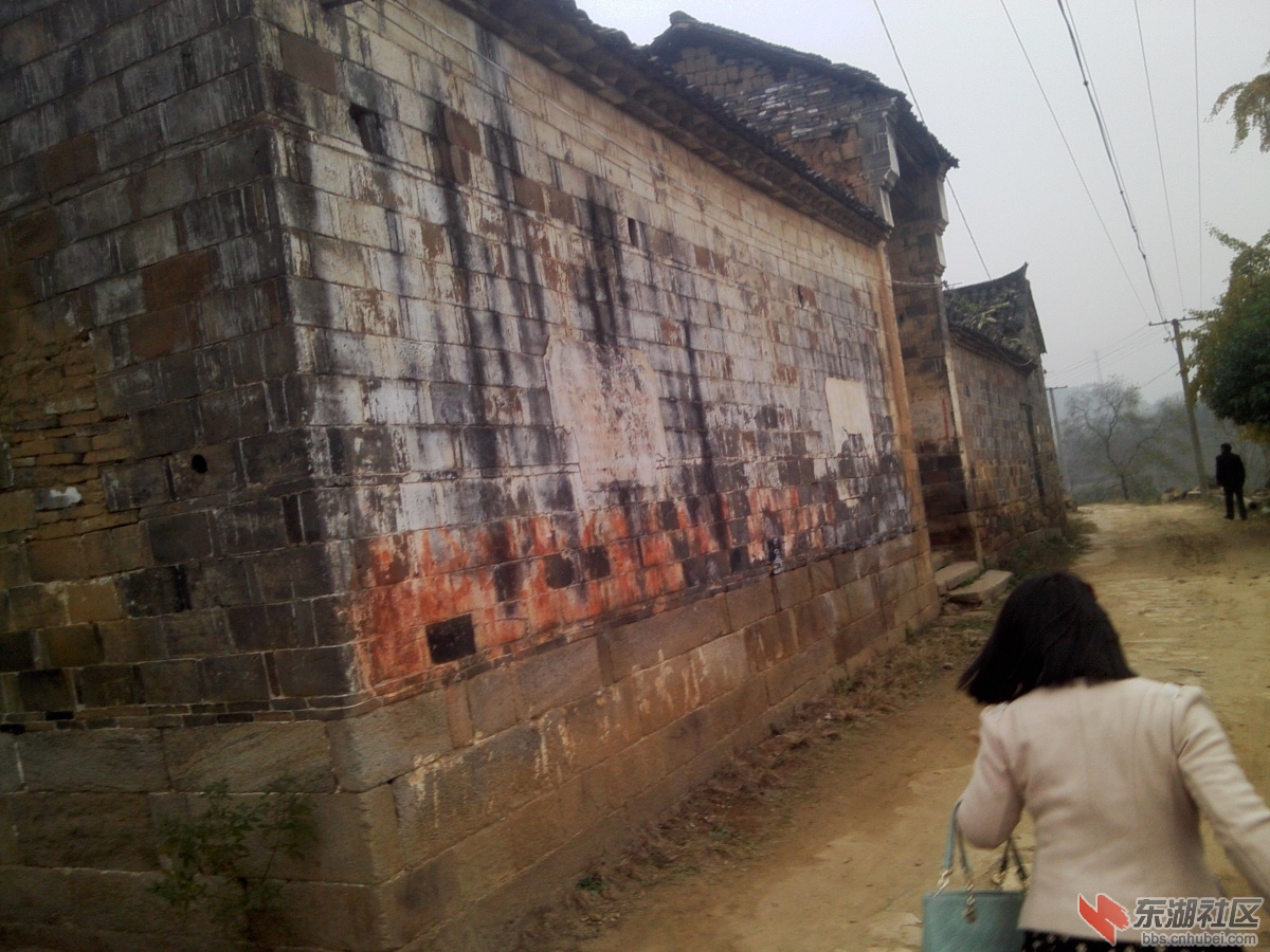 IMG1115143701.jpg