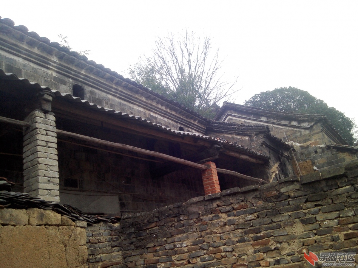 IMG1115144201.jpg