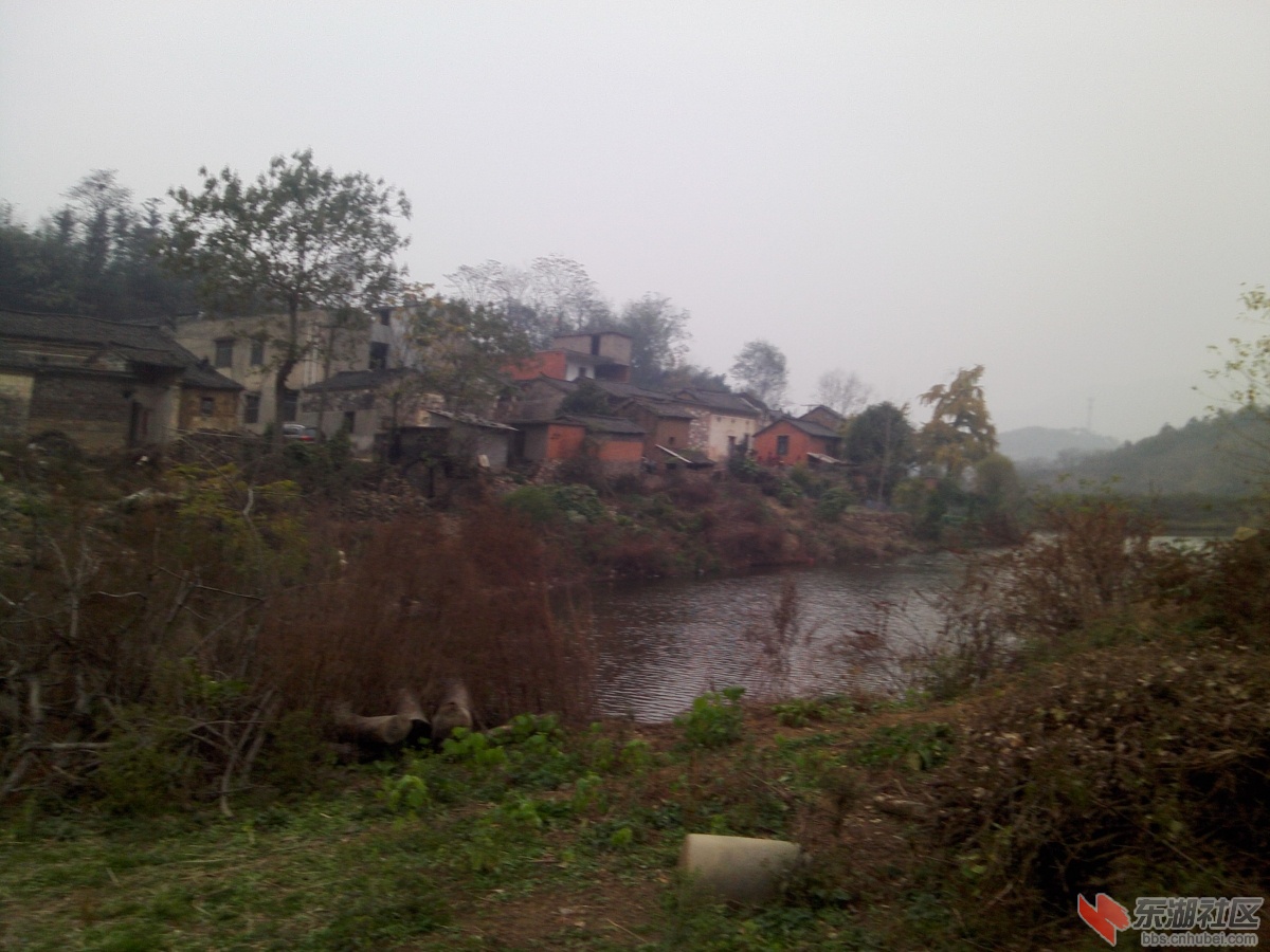 IMG1115144800.jpg