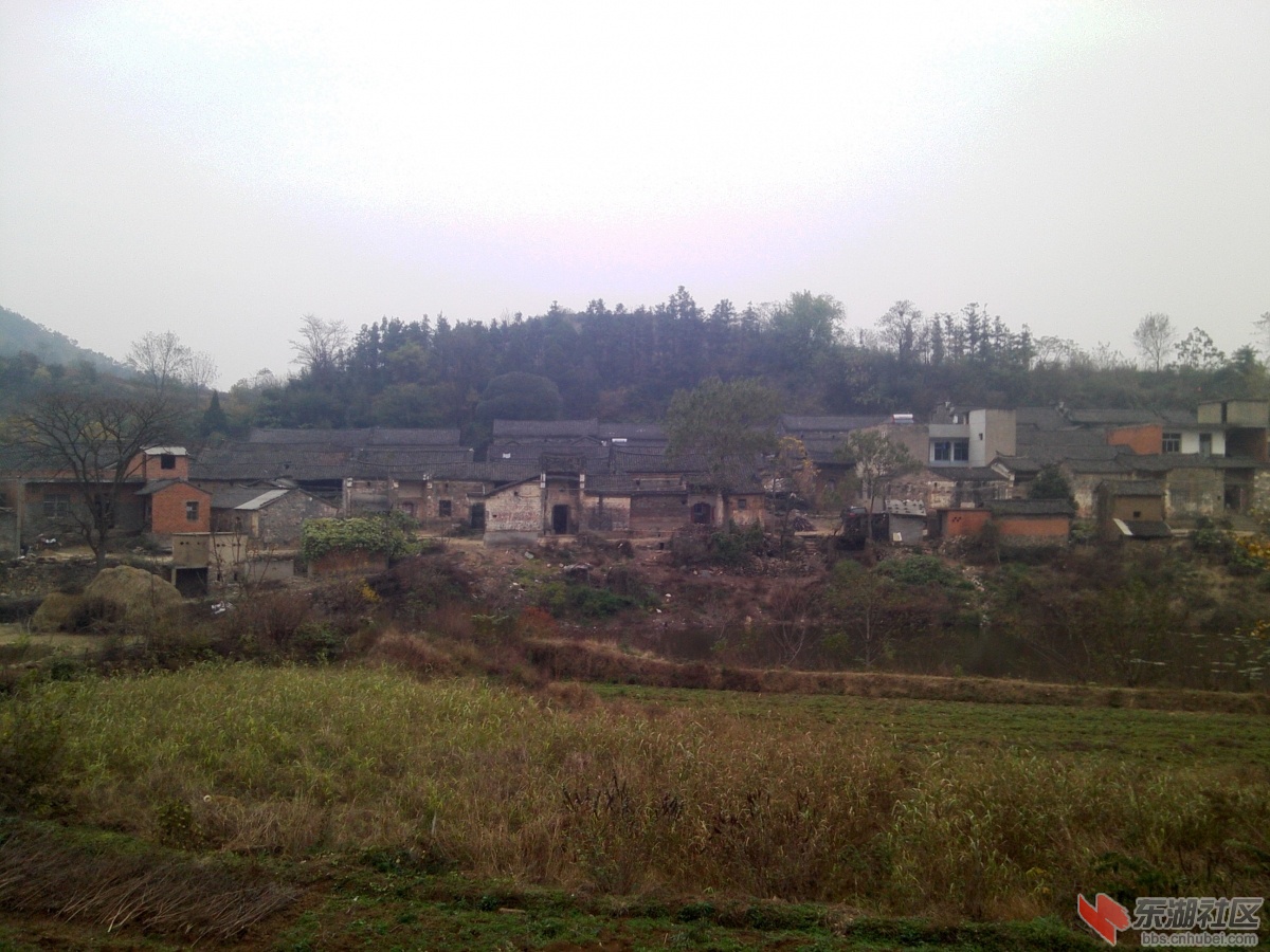 IMG1115145000.jpg