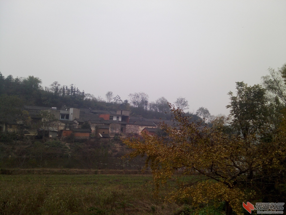 IMG1115145001.jpg