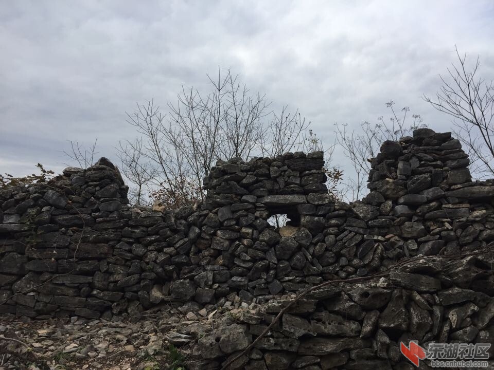 QQ图片20141208103441.jpg