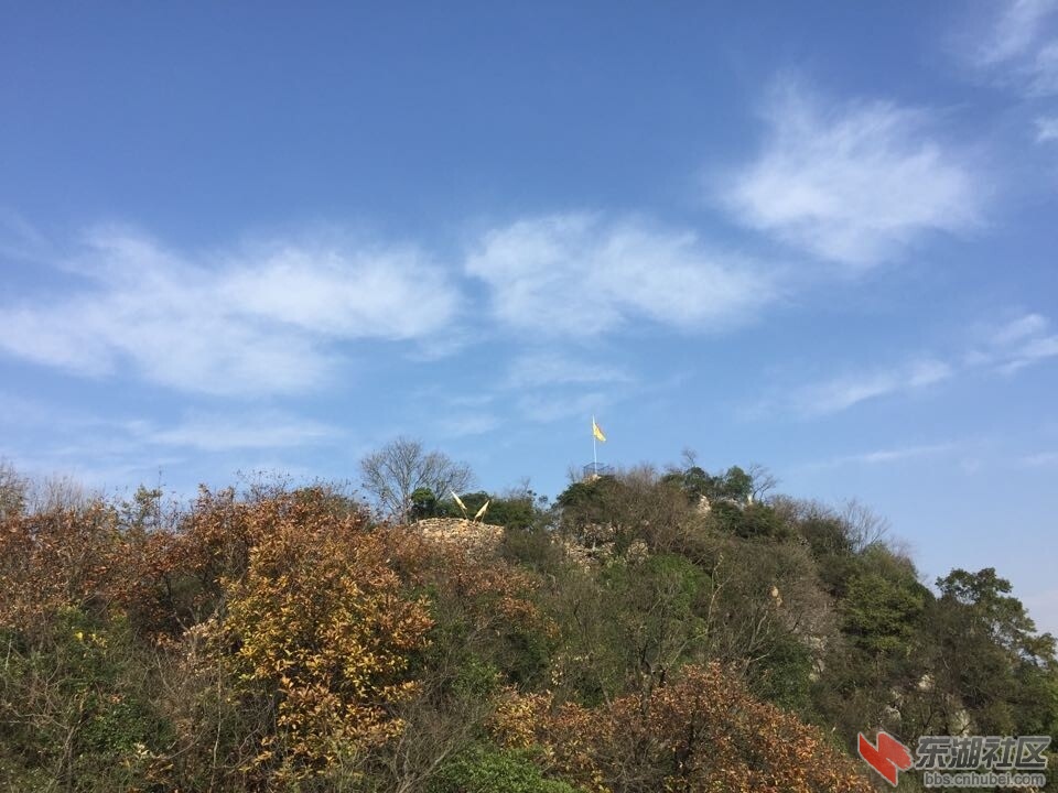 QQ图片20141208103545.jpg