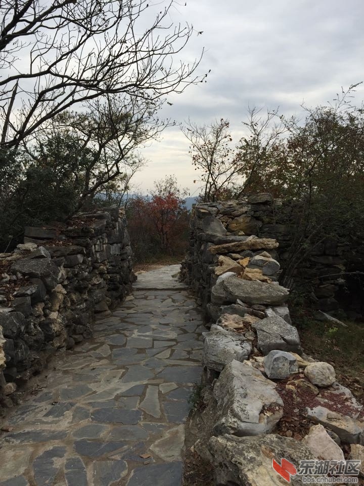 QQ图片20141208103354.jpg