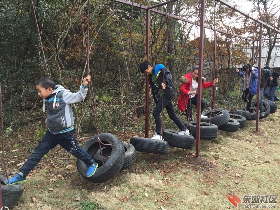 QQ图片20141208103536.jpg