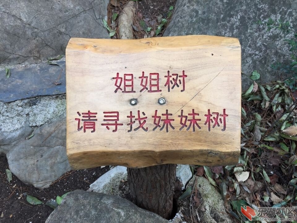 QQ图片20141208103618.jpg