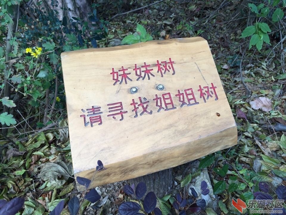 QQ图片20141208103424.jpg