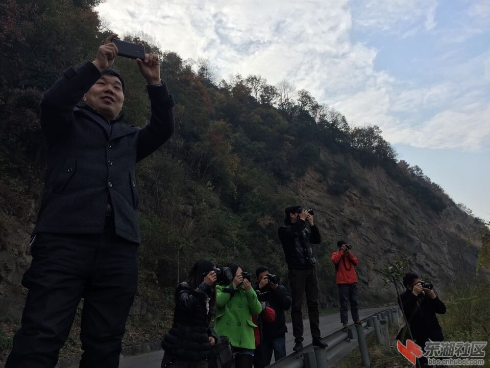 QQ图片20141208103624.jpg