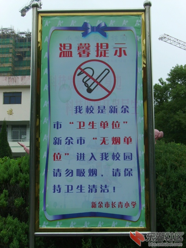 20101025100059358.jpg