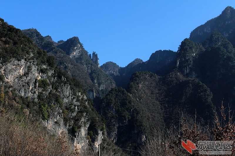 IMG_4019_副本.jpg