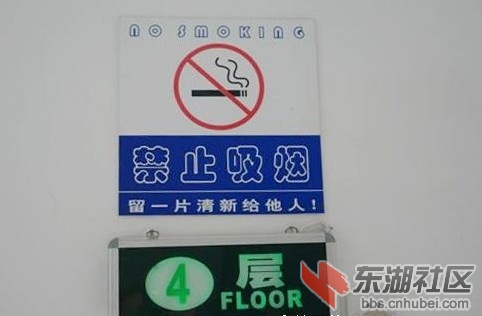 20101012080621630A.jpg