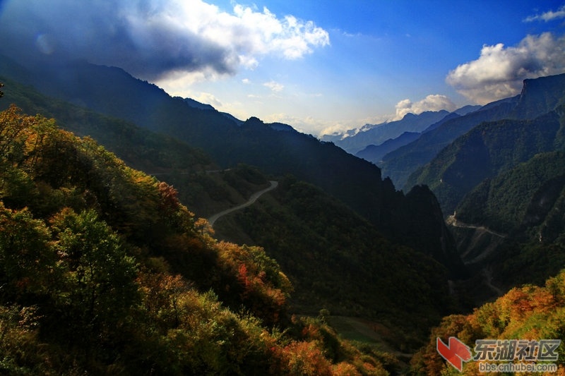 _MG_3753_1.jpg