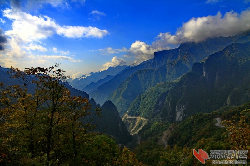 _MG_3732_1.jpg