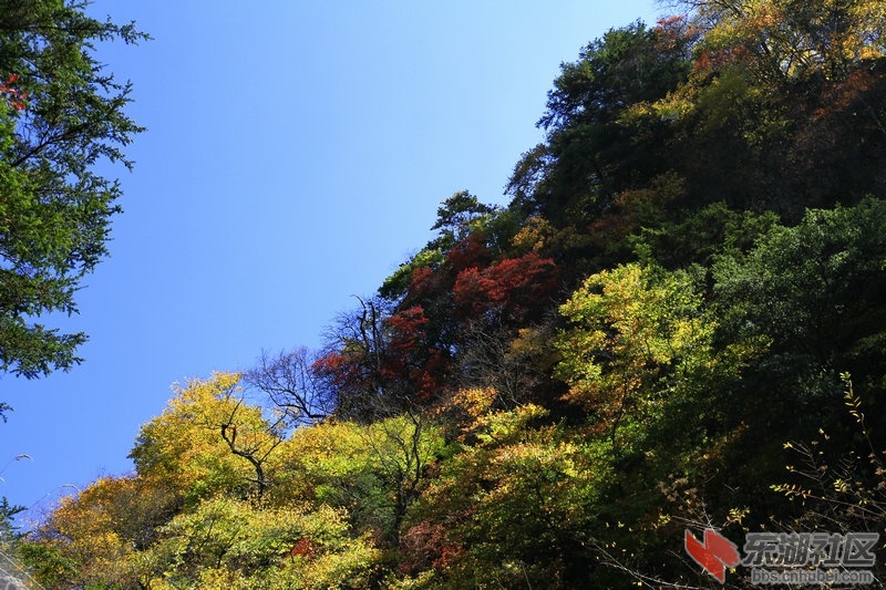 _MG_4404_1.jpg