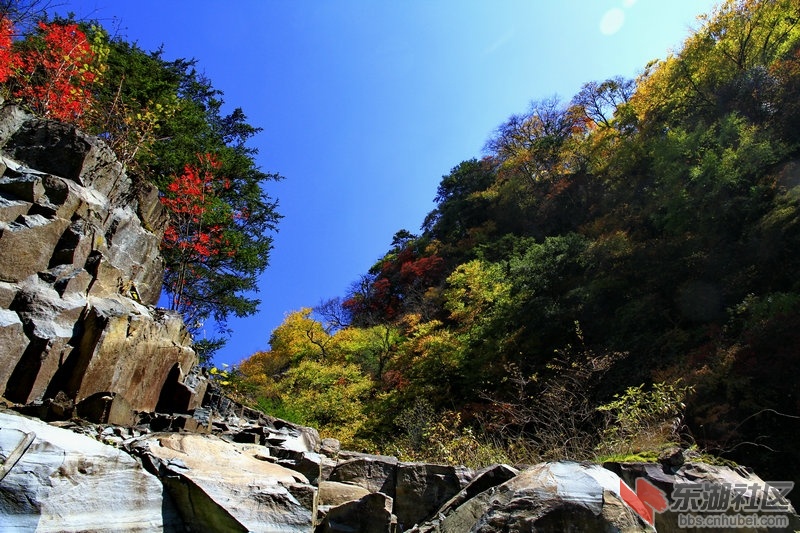 _MG_4403_1.jpg