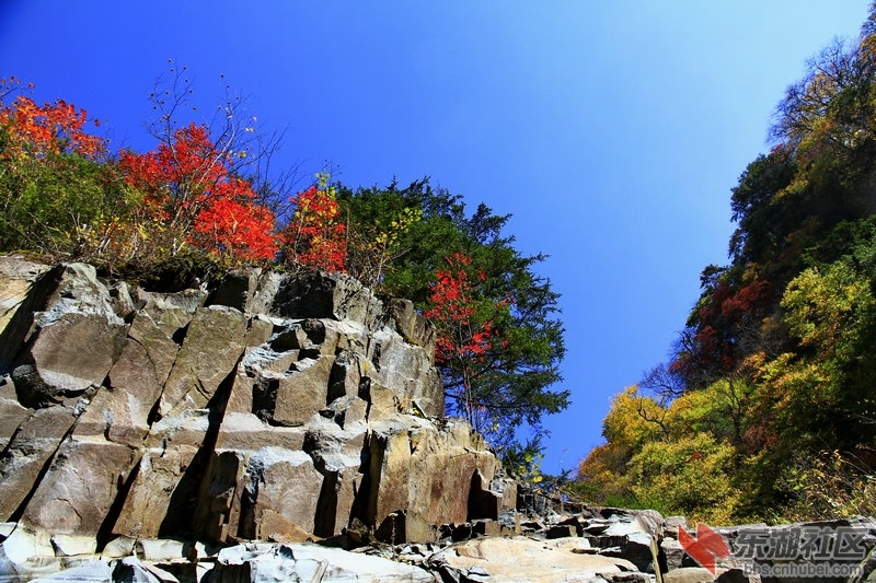 _MG_4405_1.jpg