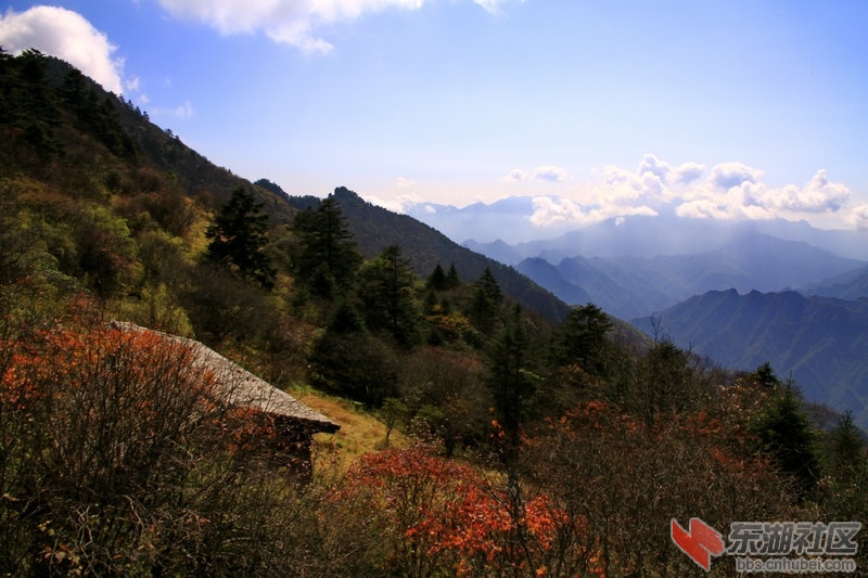 _MG_4507_1.jpg