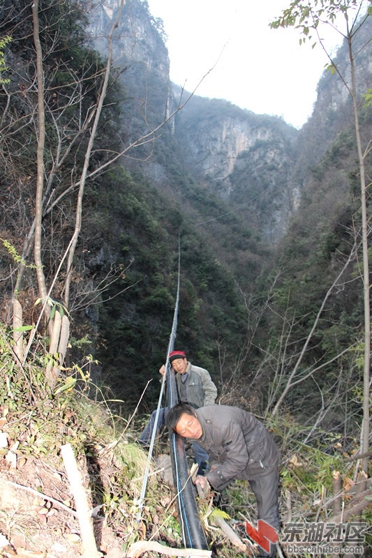 IMG_4590_副本.jpg