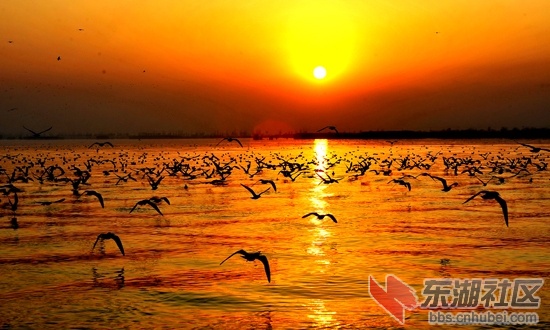 01.宁夏沙湖.jpg