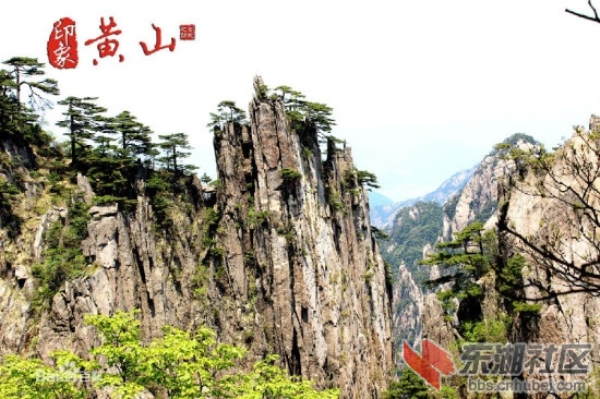 08.安徽黄山.jpg