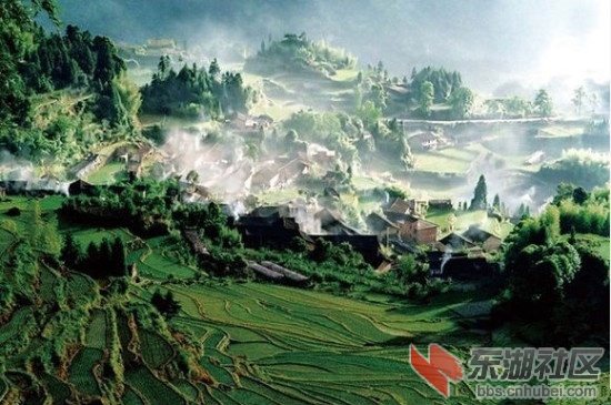 浙江云和梯田.jpg