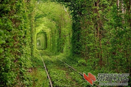 10爱的隧道.jpg