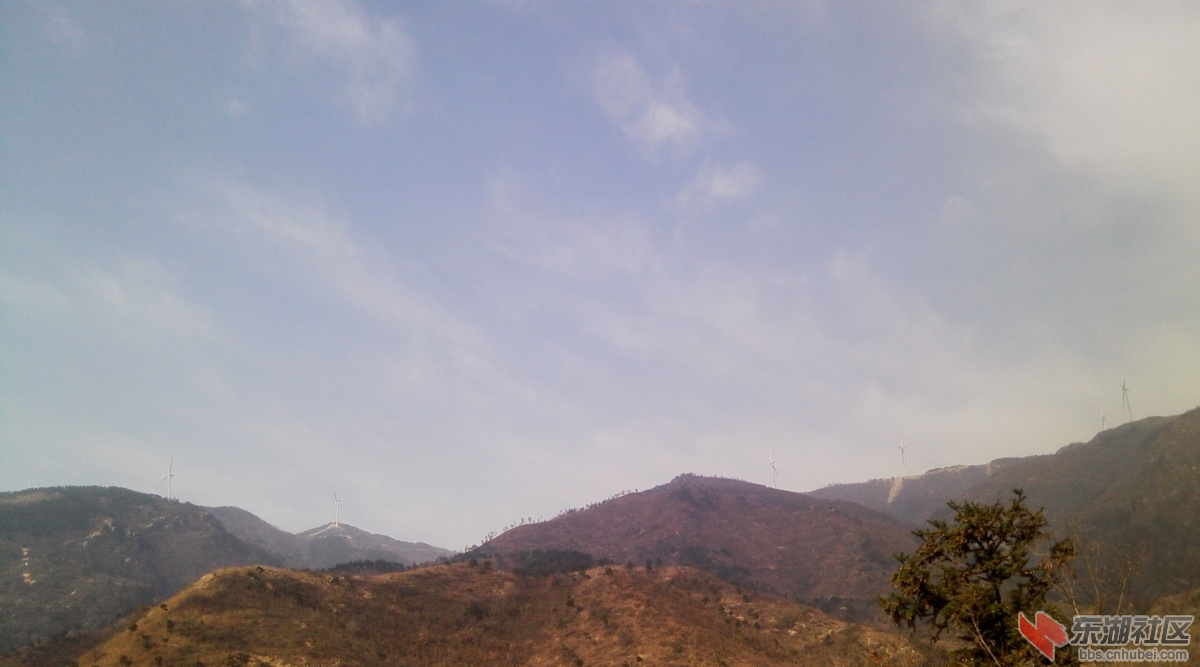 IMG1213113701.jpg