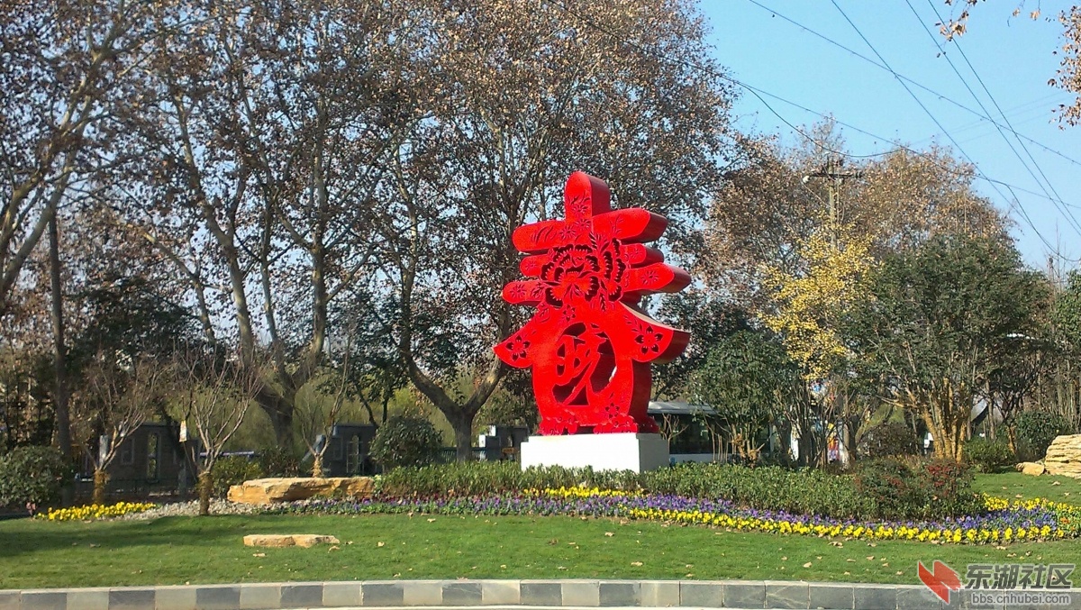 IMAG7846.JPG
