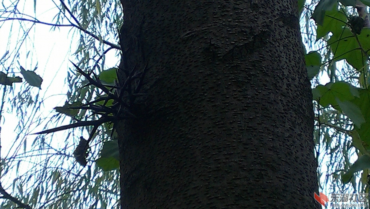 IMAG7839.jpg