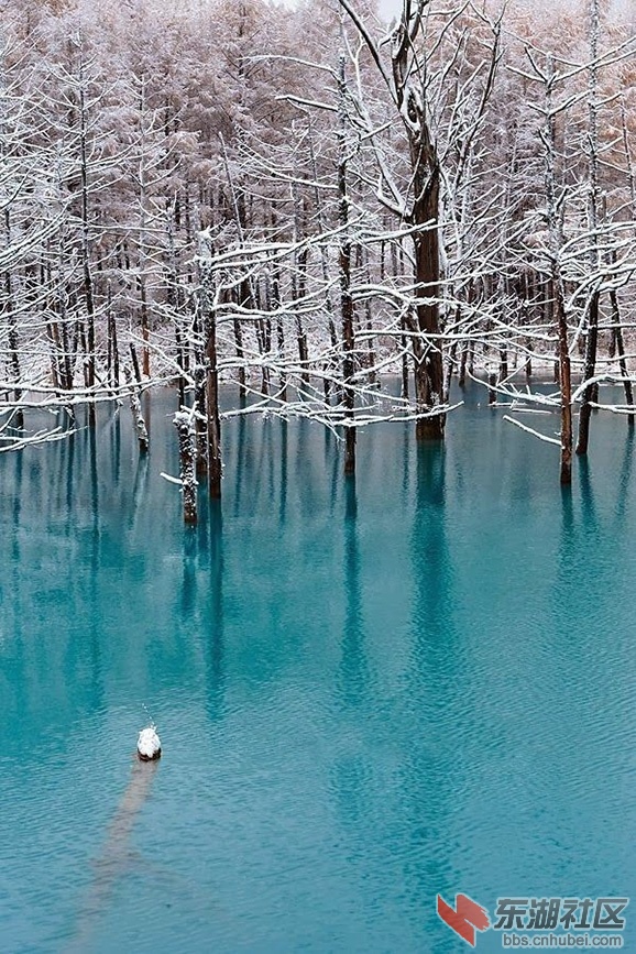 8、日本北海道1.jpg