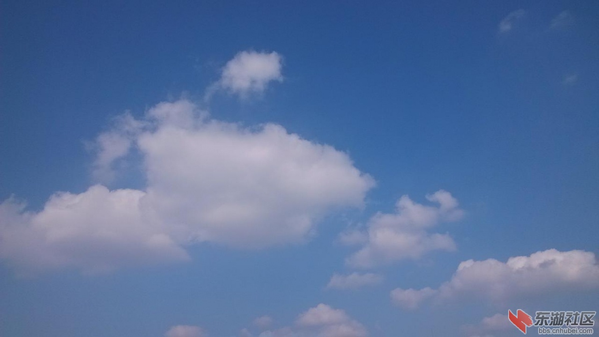 a838423b2c81022041933215d9f76f9353332746.jpg