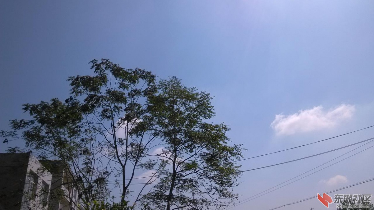 45983ce6ad3aec7311fea73e8b768740c9672da2.jpg